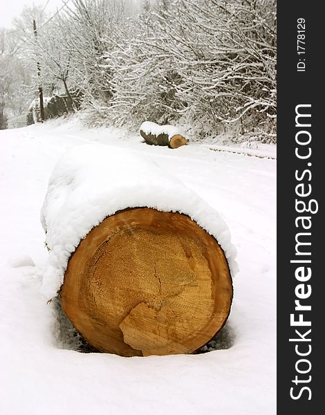 Cut wood log covered by snow. Cut wood log covered by snow