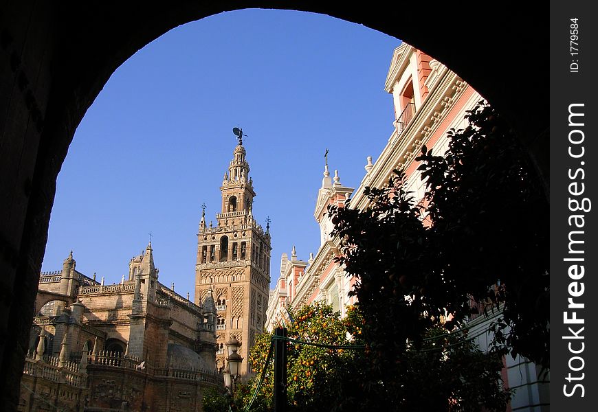 Tower Giralda And Cathedral