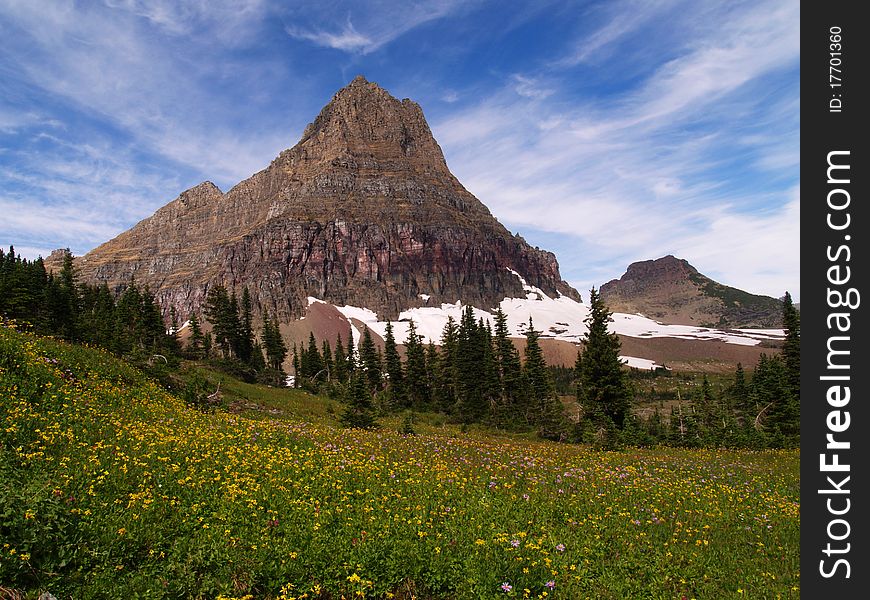 Mt Clements and Alpine Wildflower Meadow