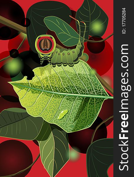 Vector illustration. Caterpilar with cherries. Vector illustration. Caterpilar with cherries