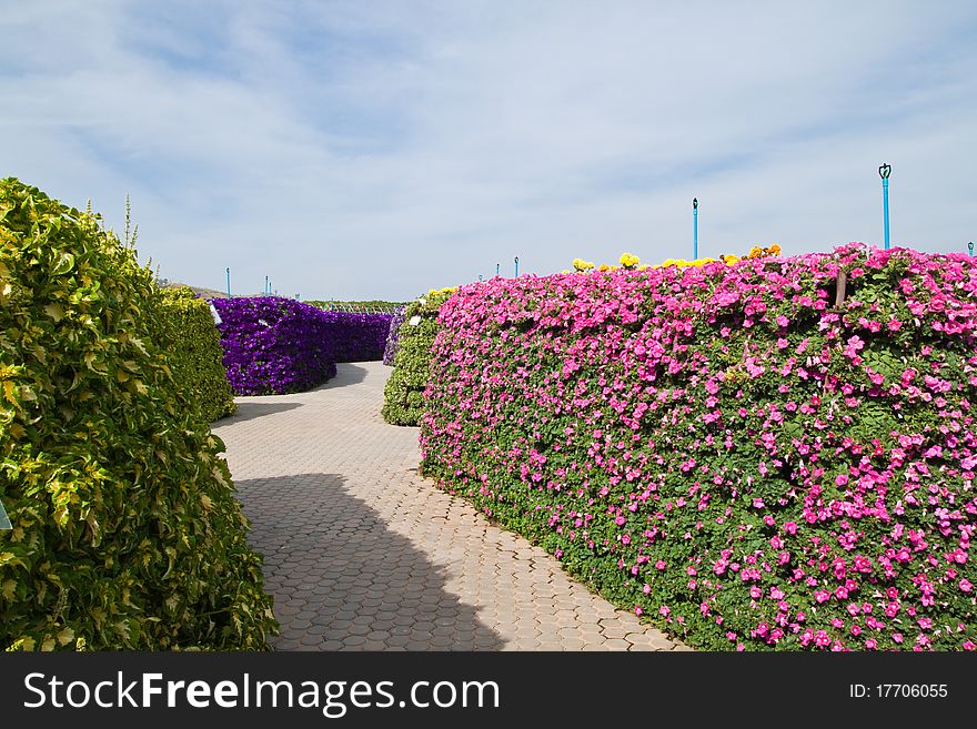 Walkway in the garden and the blue sky at countryside of Thailand