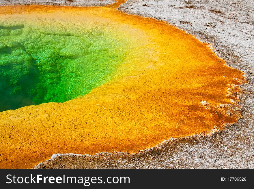 Morning Glory Pool in the Upper Geyser Basin of Yellowstone National Park, Wyoming.