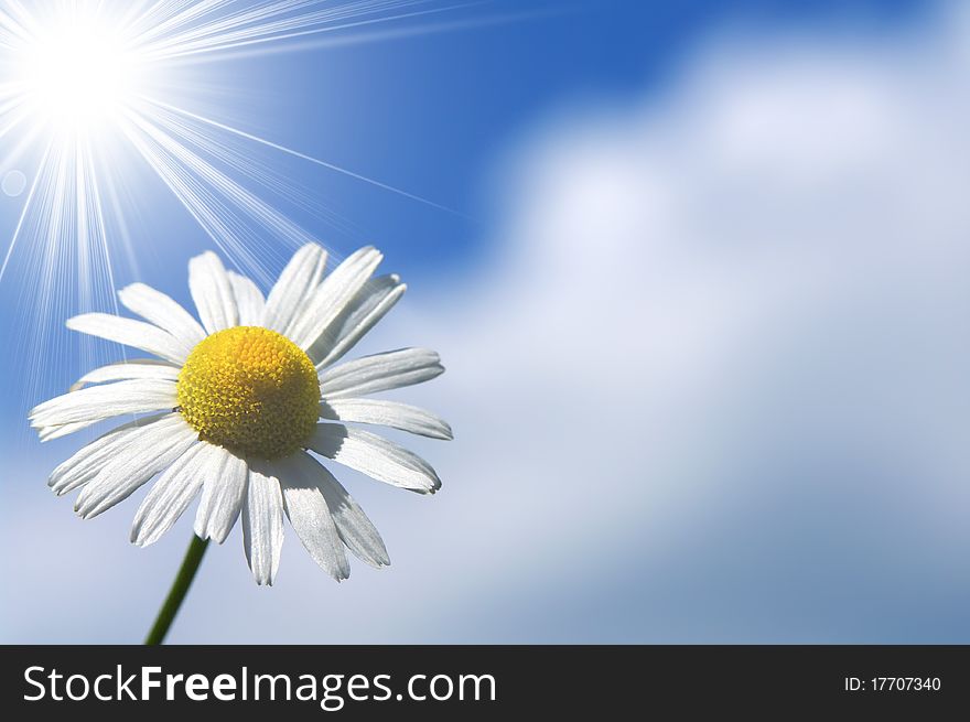 Beautiful blue sunny sky background. Beautiful blue sunny sky background