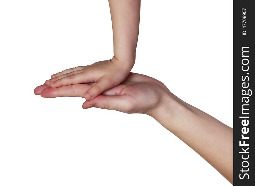 Mother and daughter's hands on white. Mother and daughter's hands on white