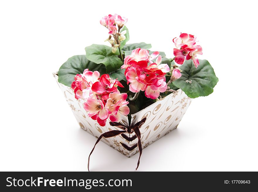 Present Packaging With Geraniums