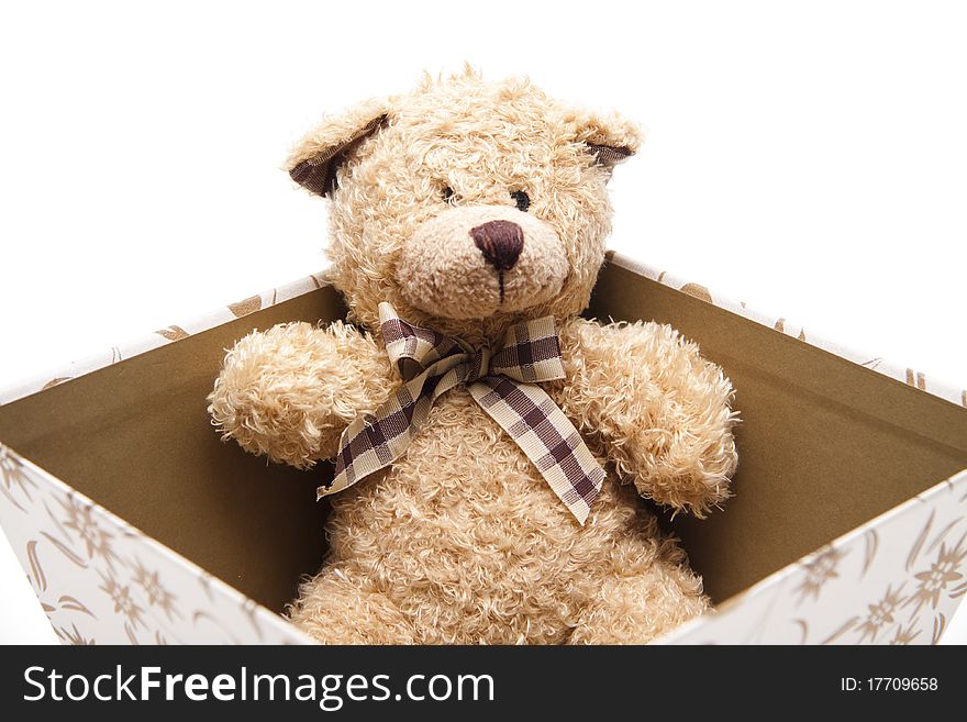 Present packaging with plush bear