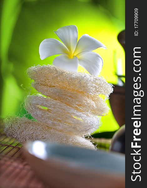 Close up view of   frangipani  flower  on color back