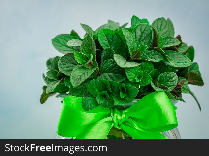 Fresh cut mint from my garden. Aerial, agriculture, aroma, asian, background, beauty, botanical, chinese, close, up, coctail, color, condiment, copy, space, crop, cultivation, day, drink, farm, field, flavor, foliage, food, drinks, fragrance, fragrant, fresh, garden, gardening, green, grow, healthy, herbal, herbs, leaf, lush, medicine, melissa, menthol, mint, mojito, nature, old, organic, oriental, outdoor, pepper, peppermint, plant, plants, raw, salad, spearmint, spices, spring, taste, texture, therapy, vegetable, vintage