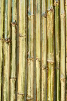 Shiny Bamboo Wall Stock Photos Shiny Bamboo Wall Stock Photos