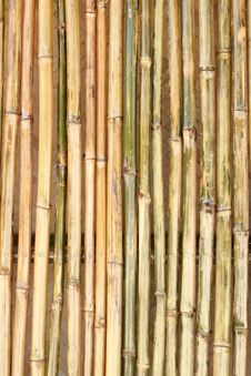 Shiny Bamboo Wall Stock Images Shiny Bamboo Wall Stock Images