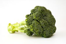 Fresh Sprouting Broccoli Stock Images Fresh Sprouting Broccoli Stock Images