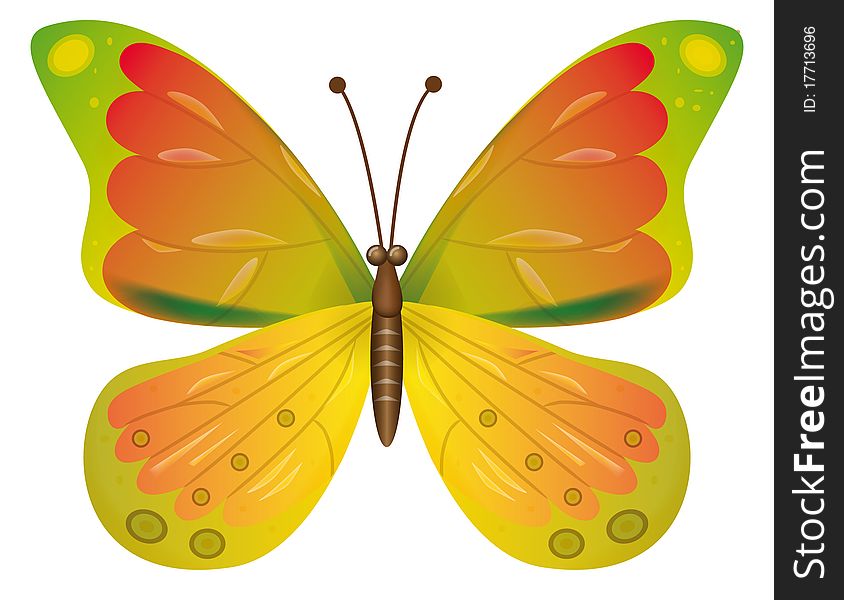 Butterfly Isolated.  EPS10 Vector