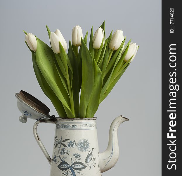 Old Coffee Can With Tulips