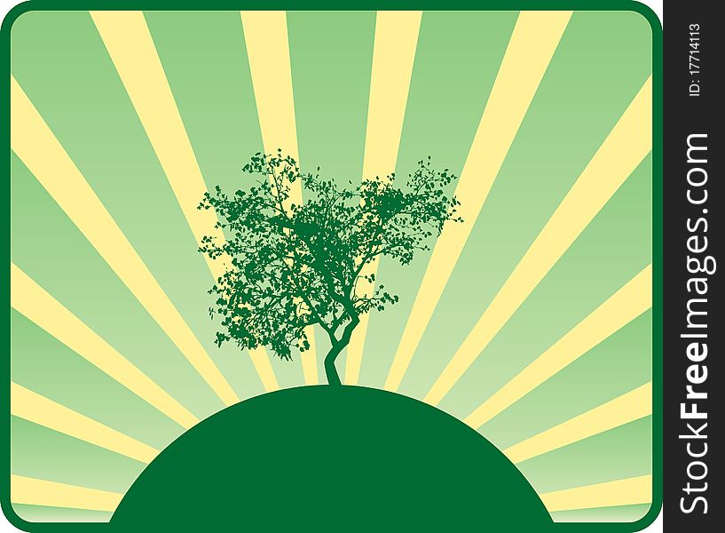 Sun Rays background with tree silhouette