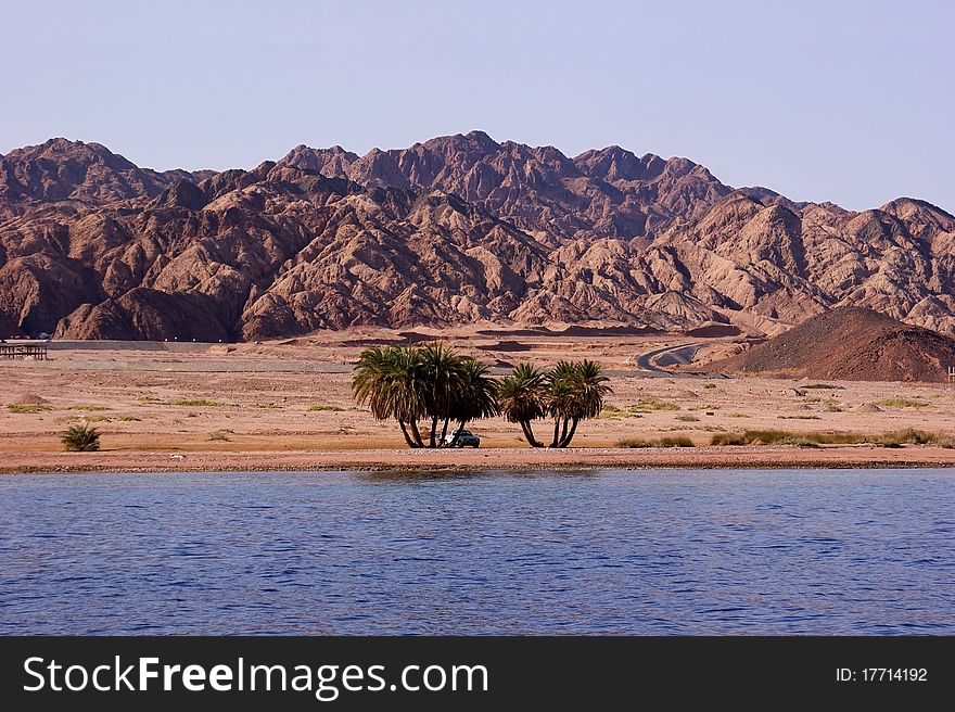 Two groups of palm trees and a car on the beach to the background of desert and mountains. Two groups of palm trees and a car on the beach to the background of desert and mountains