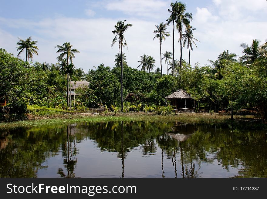 A pond with wooden houses, palm trees and tropical plants. A pond with wooden houses, palm trees and tropical plants.