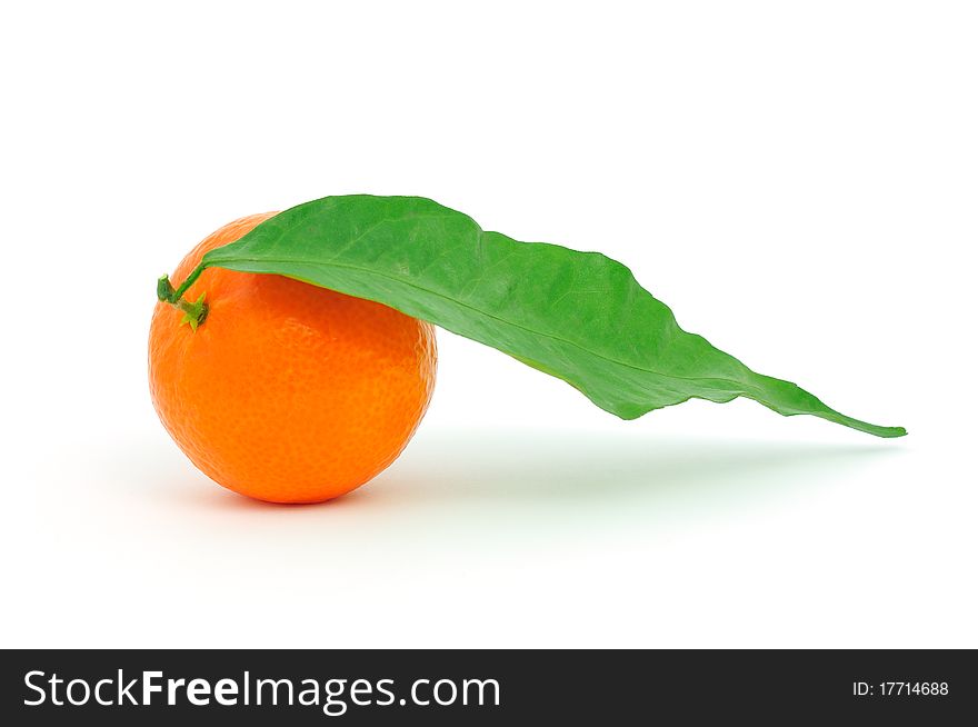 Frash tangerine on stem with green leaves isolated on white. Frash tangerine on stem with green leaves isolated on white