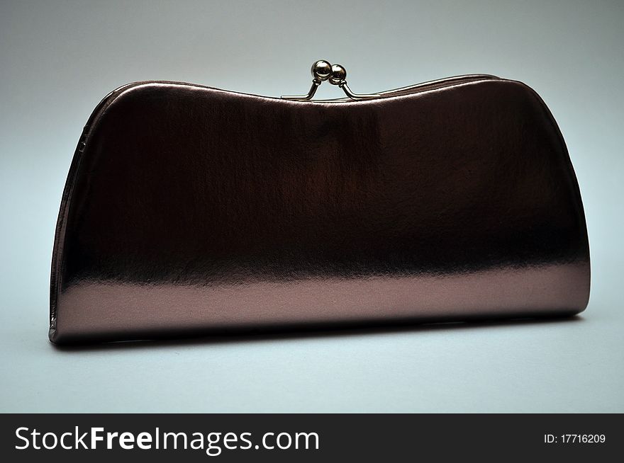 Bag or handbag, purse with closed buckle, luxury personal accessory, brown color. Bag or handbag, purse with closed buckle, luxury personal accessory, brown color