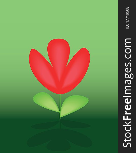Red tulip on green backround