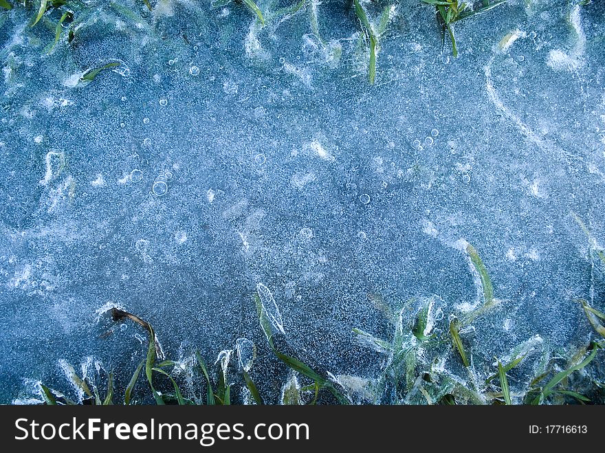 Frozen water with bubles and grass. Frozen water with bubles and grass