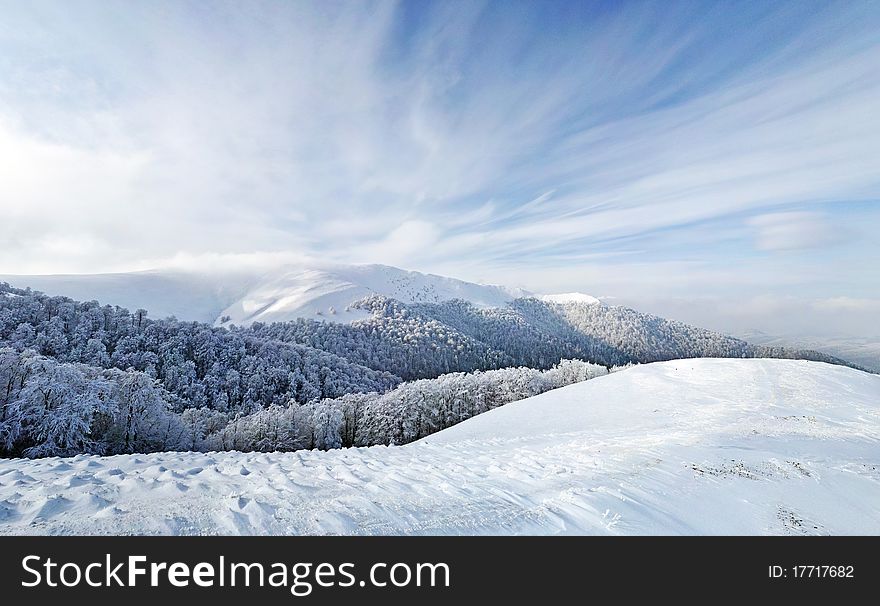 Frozen forest and meadows in Carpathians panorama. Ukraine