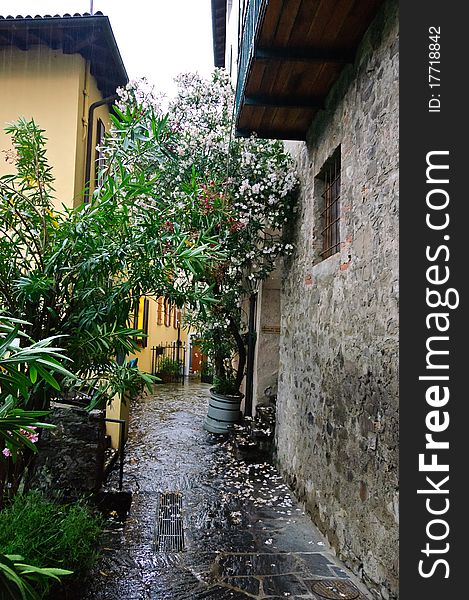 Street of Gandria in the rain
Lugano
Switzerland