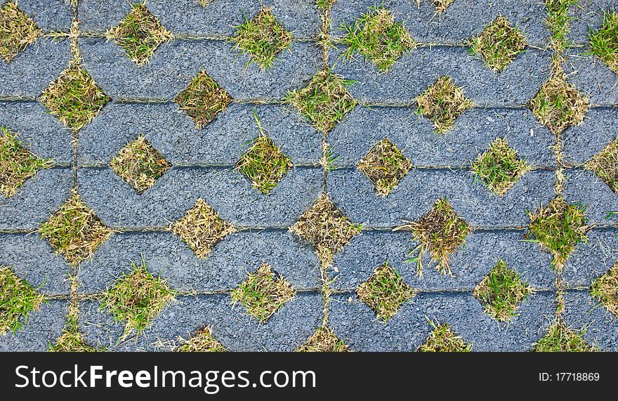 Green grass in the concrete on walkway