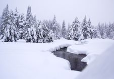 Winter Creek Stock Image