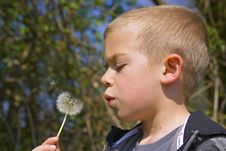 Six Year Old Boy Blowing A Dandelion Stock Photos Six Year Old Boy Blowing A Dandelion Stock Photos
