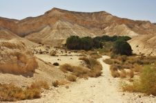 Desert Trail Royalty Free Stock Photo