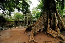 Ta Prohm Temple, Cambodia Stock Photography Ta Prohm Temple, Cambodia Stock Photography