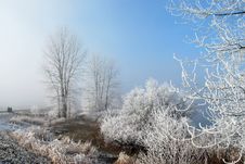 Frosty, Misty Morning Stock Photography Frosty, Misty Morning Stock Photography