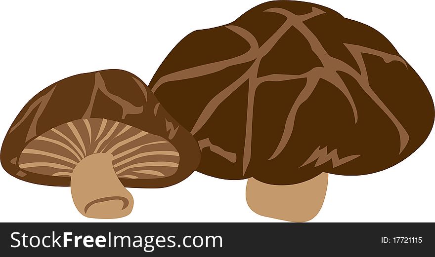 Stock Vector Illustration:
Mushroom-