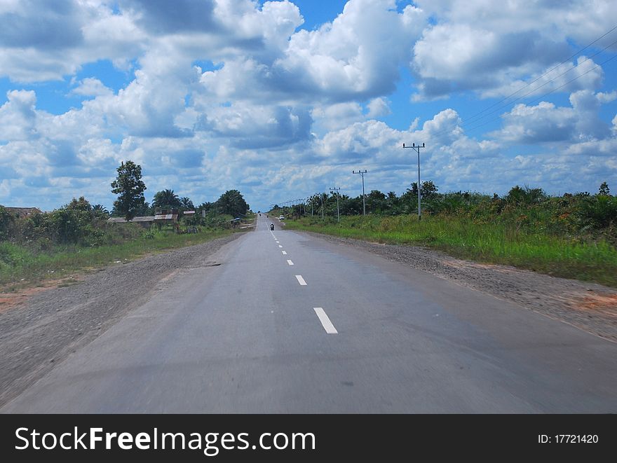 Endless Road In Kalimantan