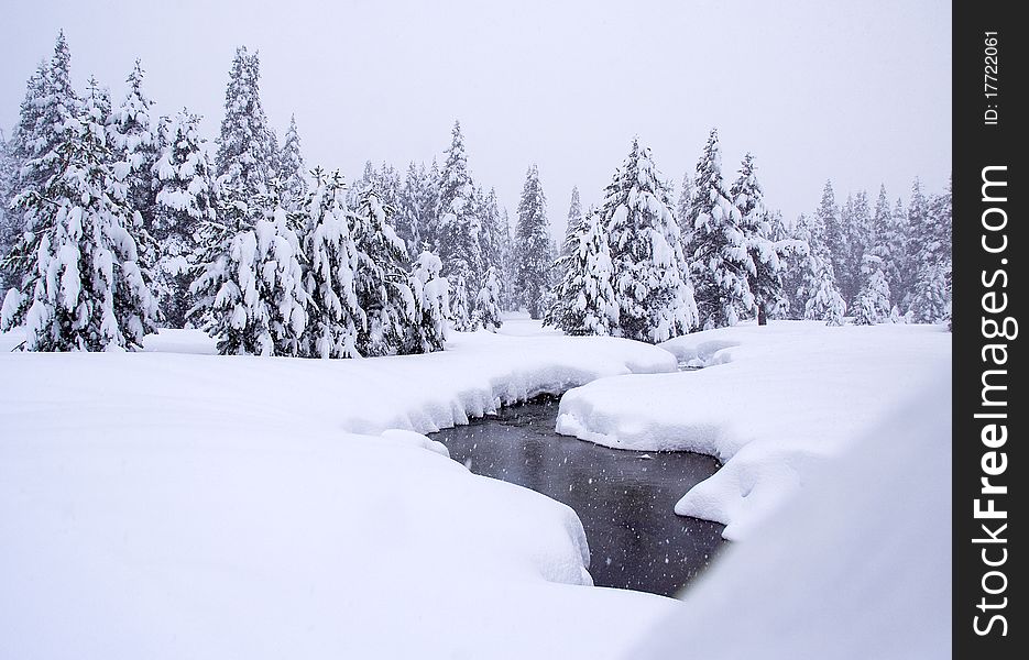 Winter. Bear Valley California,december 2010. Winter. Bear Valley California,december 2010