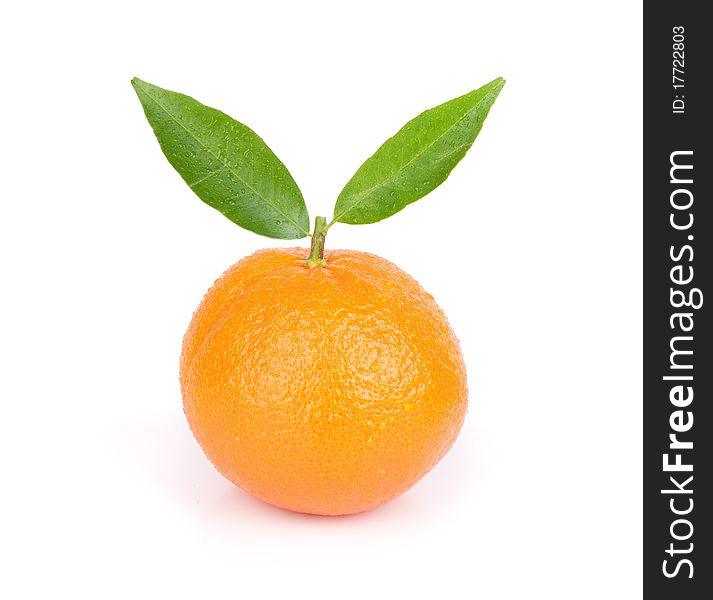 Tangerine isolated on a white background. Tangerine isolated on a white background