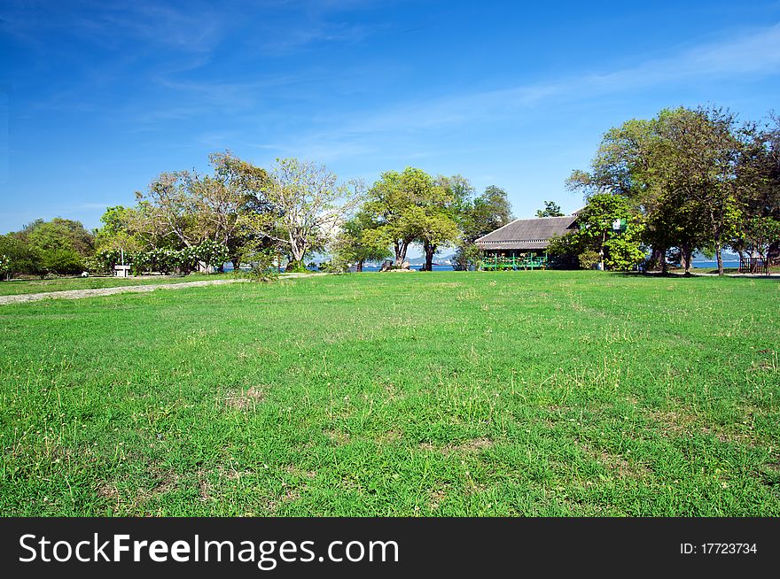 Natural grass field with blue sky by the sea. Natural grass field with blue sky by the sea