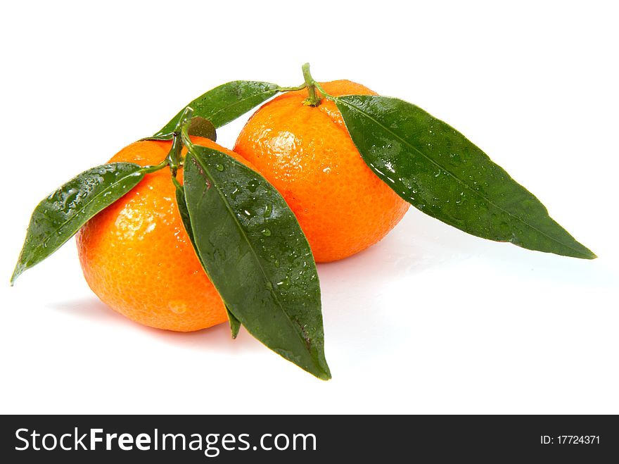 Mandarin oranges with fresh green leaves