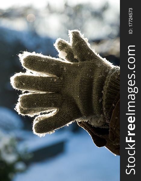 Grey gloves with snow lightened by the sun in the afternoon, hands open. Grey gloves with snow lightened by the sun in the afternoon, hands open