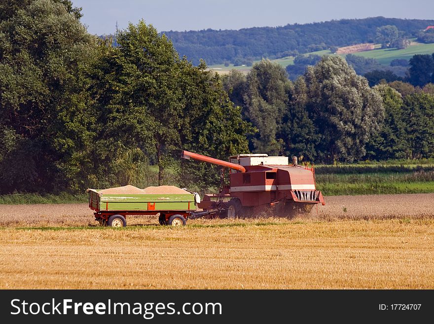 A combine harvester working a cornfield, besides a trailer. A combine harvester working a cornfield, besides a trailer