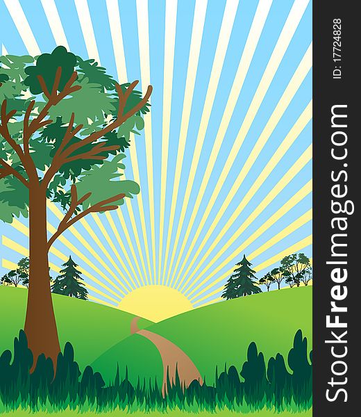 Landscape background with trees ,grass and shiny sun