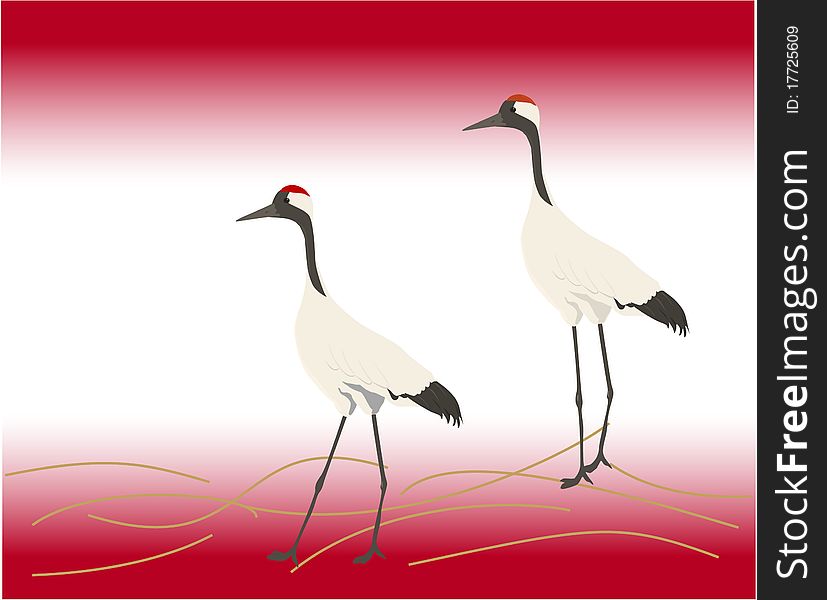 Illustrations bird of or stork