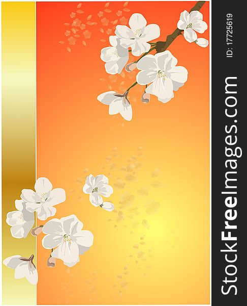 Illustration of flower cherry over twigs. Illustration of flower cherry over twigs