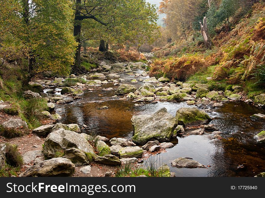 Autumn in a valley,Ireland,Wicklow Mountains