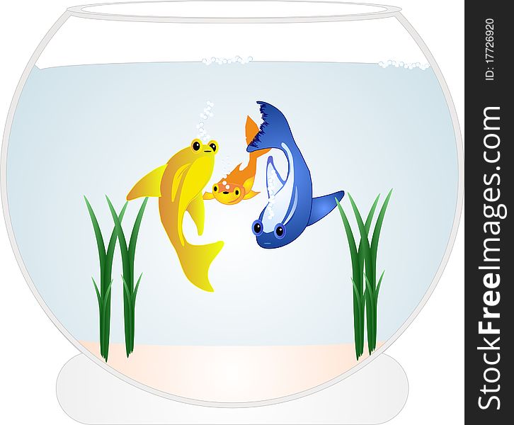 3 Colourful goldfish, playing in a fish bowl, with some weeds in it as well. 3 Colourful goldfish, playing in a fish bowl, with some weeds in it as well....