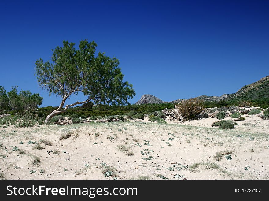Beach of falassarna (crete) with blue sky. Beach of falassarna (crete) with blue sky