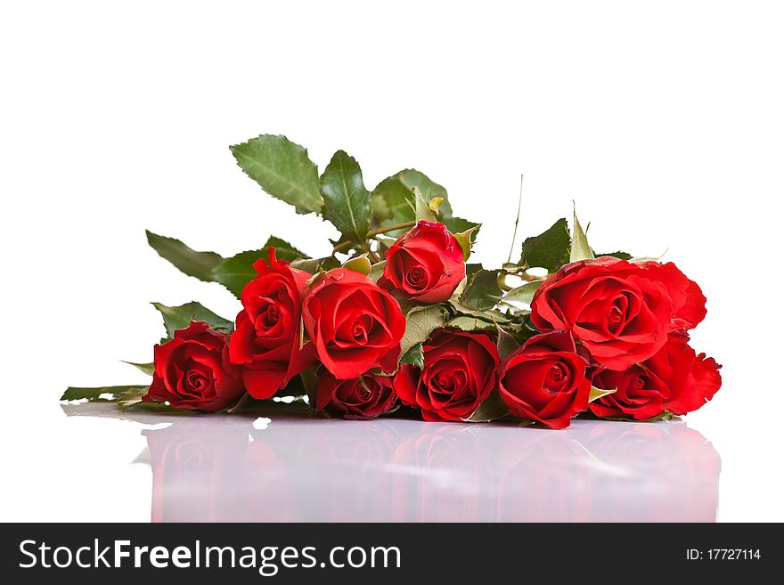 Red roses on white isolated background valentine's day