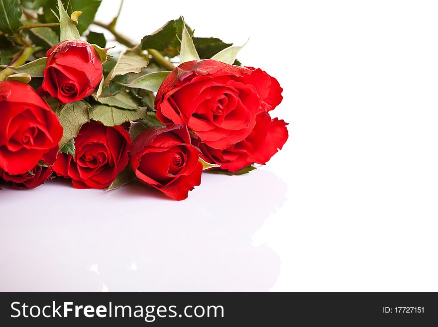 Red Roses On White Isolated Background