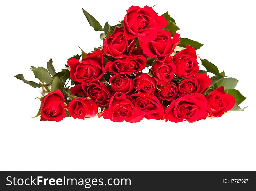 Red roses on white isolated background valentine's day