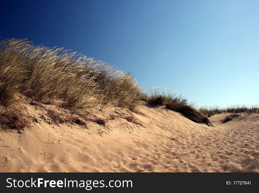 Beach with grass and blue sky. Beach with grass and blue sky